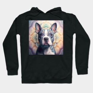 A Fractal Design of An American Boston Bull Terrier Hoodie